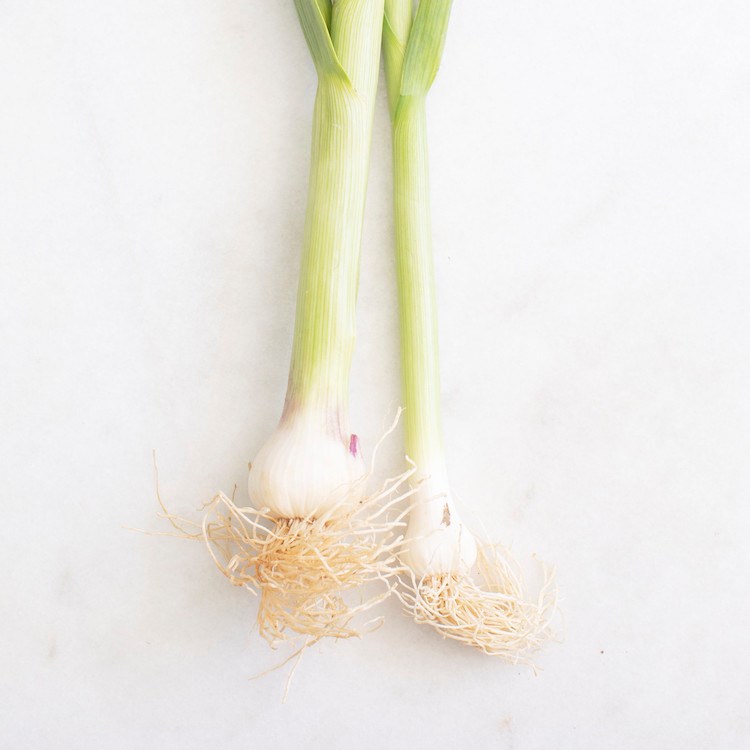 Picture of local green garlic